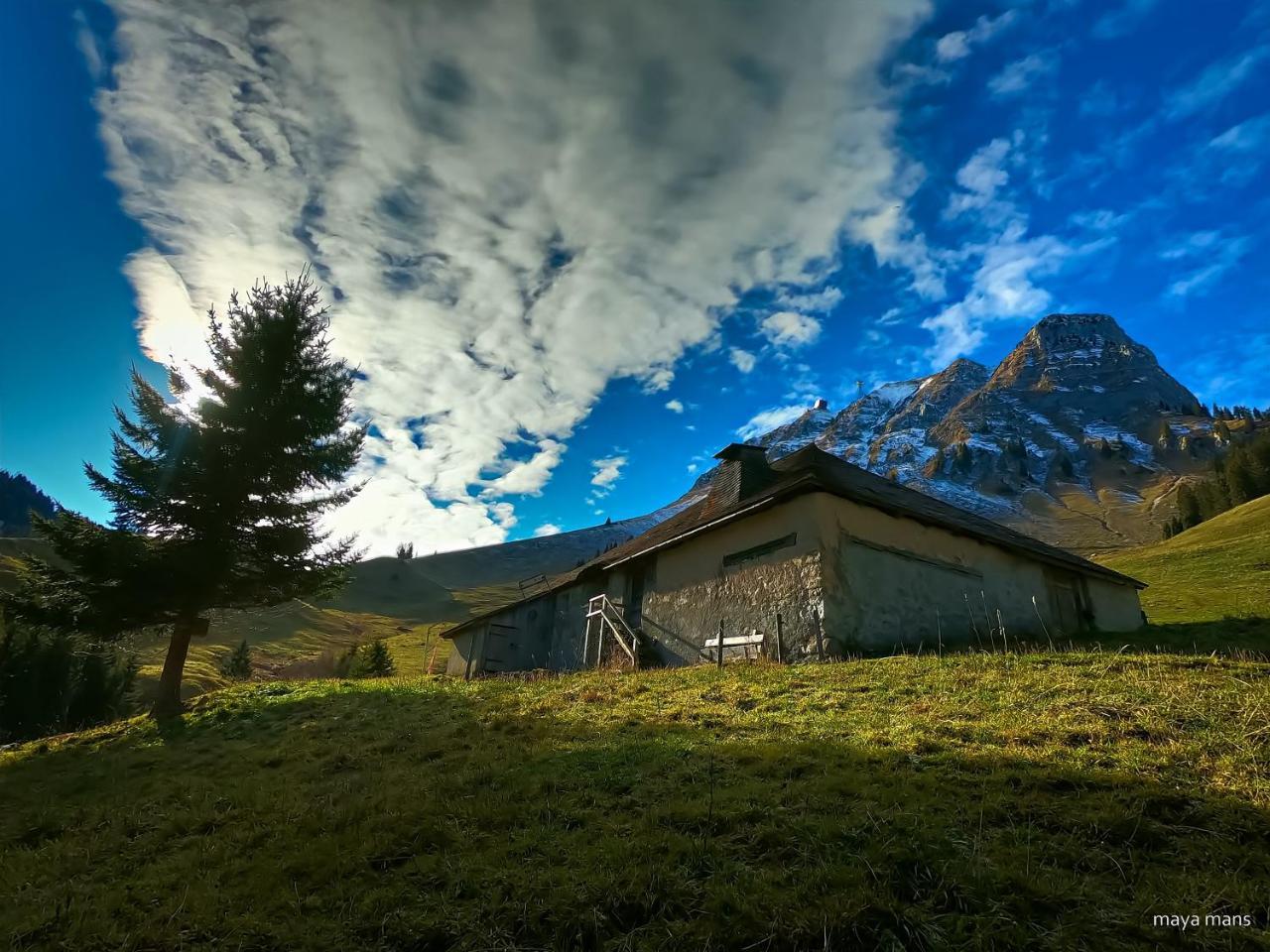 Wego Hotel Vuadens Dış mekan fotoğraf